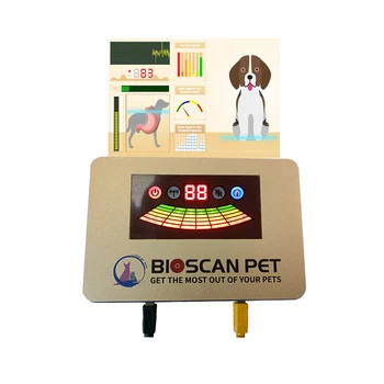 Veľkoobchod Pet Scanner Zloženie Tela Analyzer Zdravie Zvierat Diagnostika Zariadenia